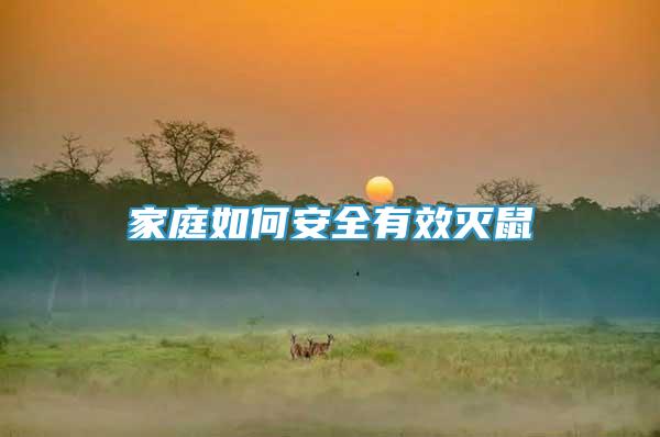 家庭如何安全有效滅鼠