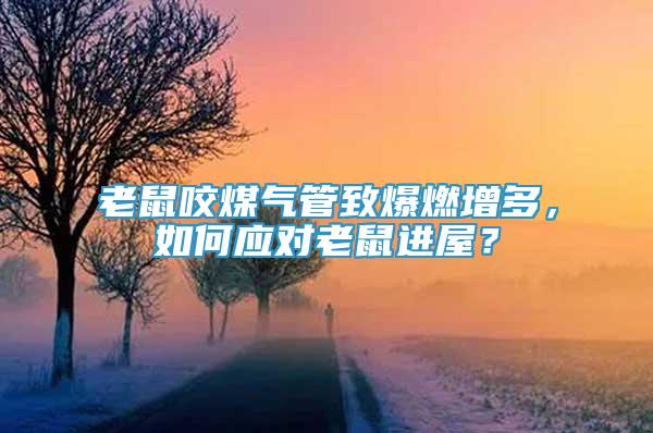 老鼠咬煤氣管致爆燃增多，如何應(yīng)對(duì)老鼠進(jìn)屋？