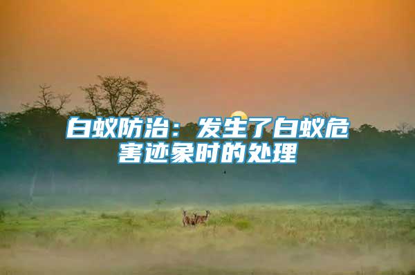 白蟻防治：發(fā)生了白蟻危害跡象時的處理
