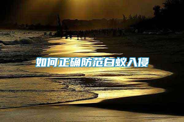 如何正確防范白蟻入侵