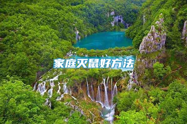 家庭滅鼠好方法