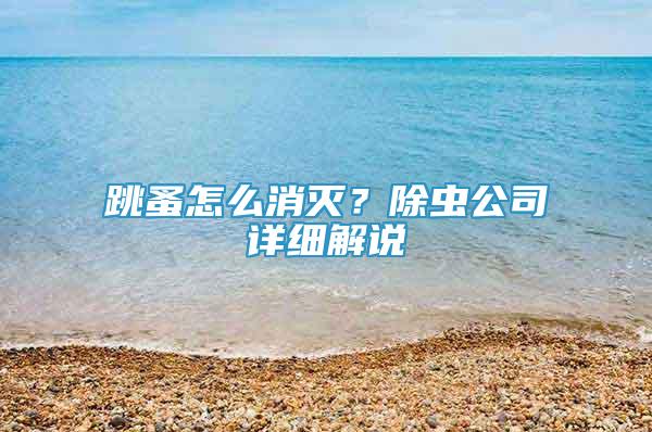 跳蚤怎么消滅？除蟲公司詳細解說