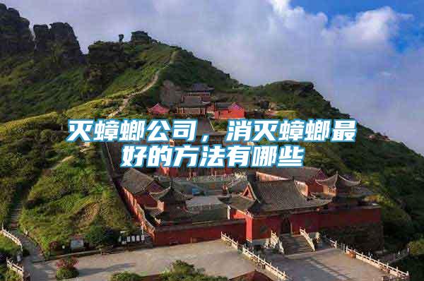 滅蟑螂公司，消滅蟑螂最好的方法有哪些