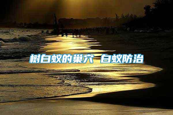樹白蟻的巢穴 白蟻防治