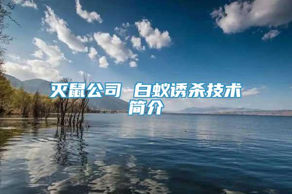 滅鼠公司 白蟻誘殺技術(shù)簡介