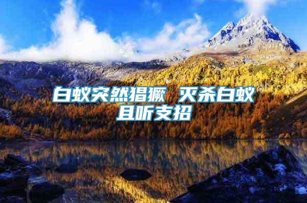 白蟻突然猖獗 滅殺白蟻且聽(tīng)支招