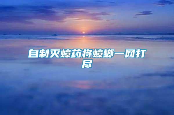 自制滅蟑藥將蟑螂一網(wǎng)打盡