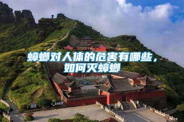 蟑螂對人體的危害有哪些，如何滅蟑螂