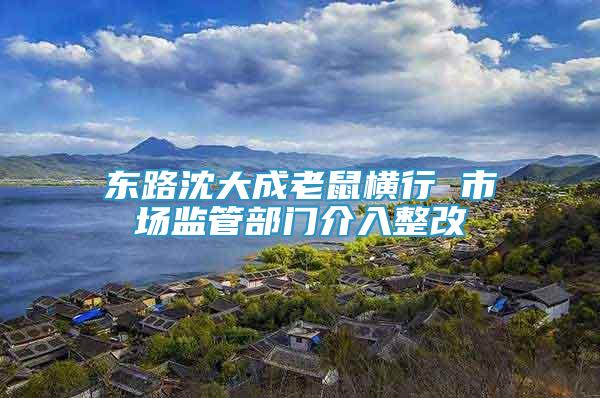 東路沈大成老鼠橫行 市場(chǎng)監(jiān)管部門(mén)介入整改