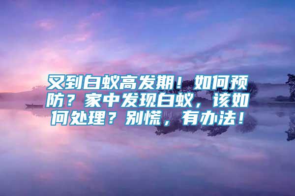 又到白蟻高發(fā)期！如何預防？家中發(fā)現(xiàn)白蟻，該如何處理？別慌，有辦法！