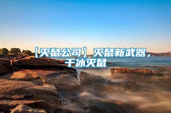 【滅鼠公司】滅鼠新武器，干冰滅鼠