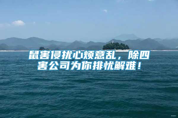 鼠害侵?jǐn)_心煩意亂，除四害公司為你排憂解難！
