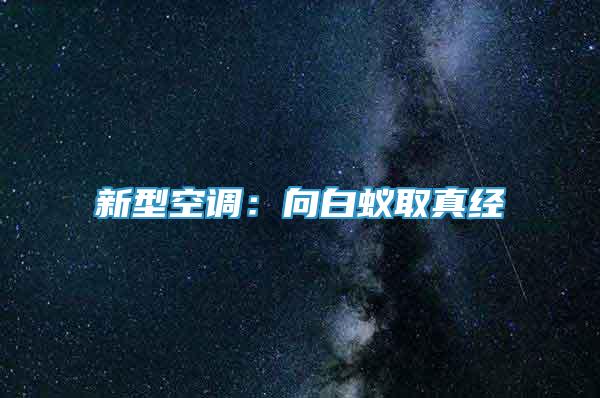 新型空調(diào)：向白蟻取真經(jīng)