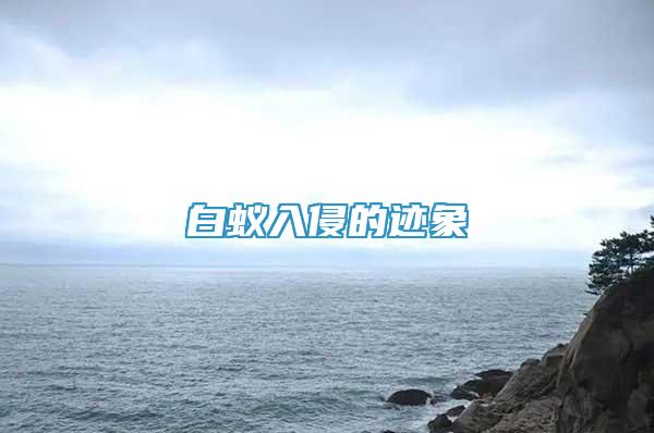 白蟻入侵的跡象