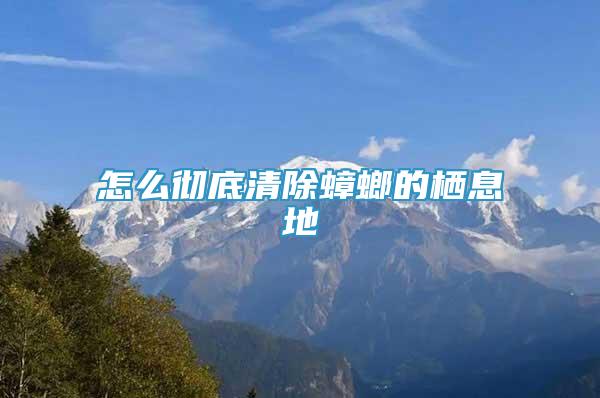 怎么徹底清除蟑螂的棲息地