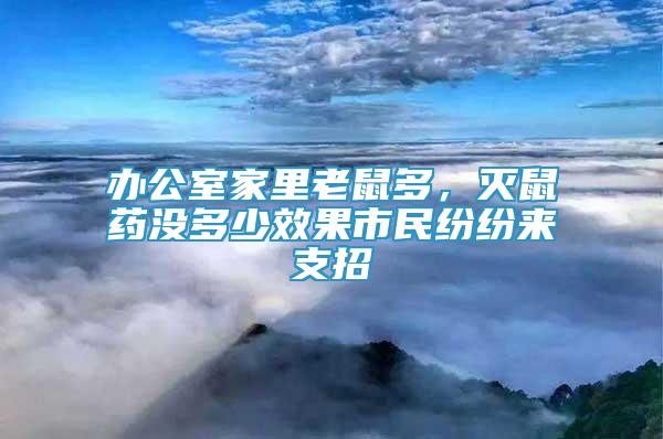 辦公室家里老鼠多，滅鼠藥沒多少效果市民紛紛來支招