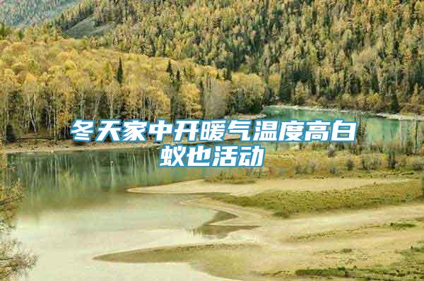 冬天家中開暖氣溫度高白蟻也活動(dòng)