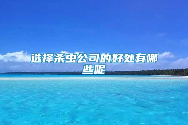 選擇殺蟲公司的好處有哪些呢