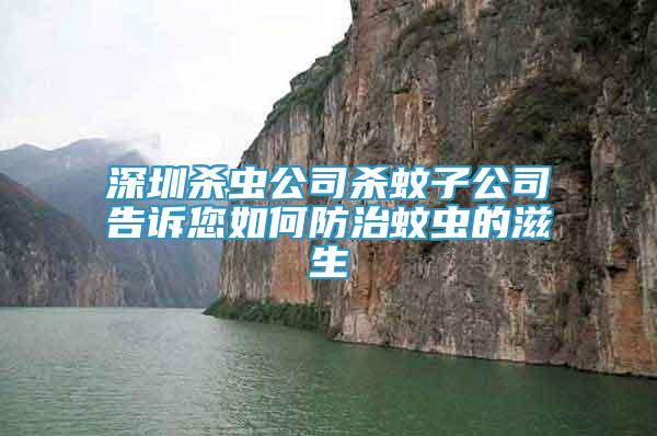 深圳殺蟲(chóng)公司殺蚊子公司告訴您如何防治蚊蟲(chóng)的滋生
