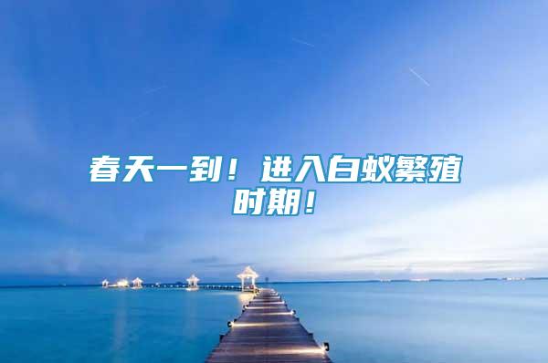 春天一到！進(jìn)入白蟻繁殖時(shí)期！