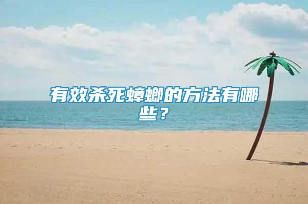 有效殺死蟑螂的方法有哪些？