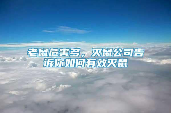 老鼠危害多，滅鼠公司告訴你如何有效滅鼠