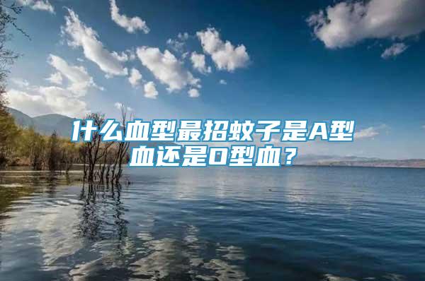 什么血型最招蚊子是A型血還是O型血？