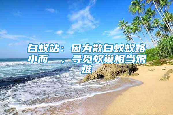 白蟻站：因為散白蟻蟻路小而骫骳，尋覓蟻巢相當艱難