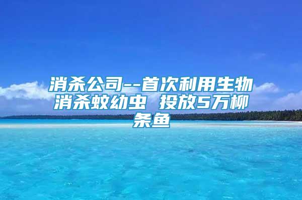 消殺公司--首次利用生物消殺蚊幼蟲 投放5萬柳條魚