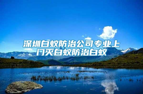 深圳白蟻防治公司專業(yè)上門滅白蟻防治白蟻