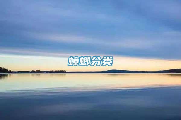 蟑螂分類(lèi)