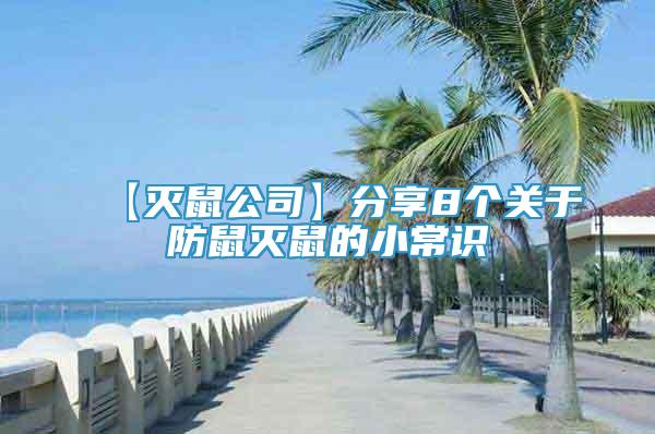 【滅鼠公司】分享8個關(guān)于防鼠滅鼠的小常識