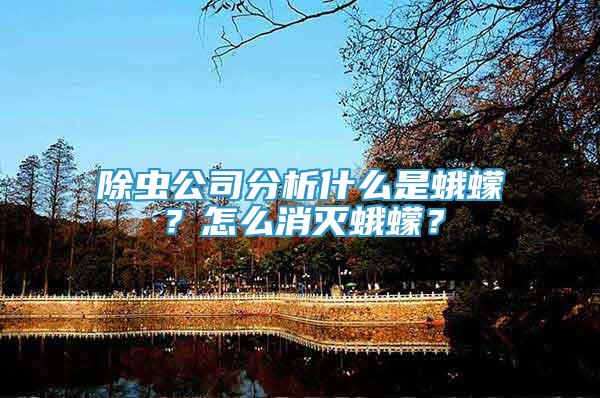 除蟲公司分析什么是蛾蠓？怎么消滅蛾蠓？