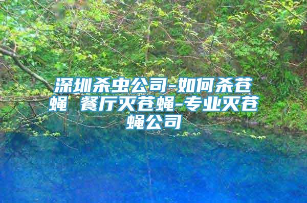 深圳殺蟲公司-如何殺蒼蠅 餐廳滅蒼蠅-專業(yè)滅蒼蠅公司