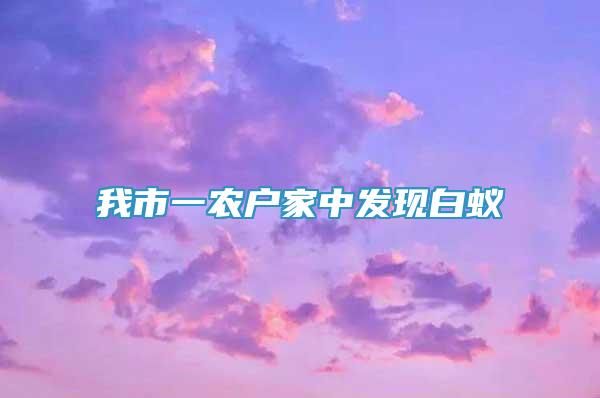 我市一農(nóng)戶家中發(fā)現(xiàn)白蟻