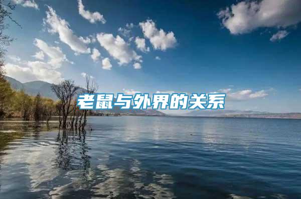 老鼠與外界的關(guān)系