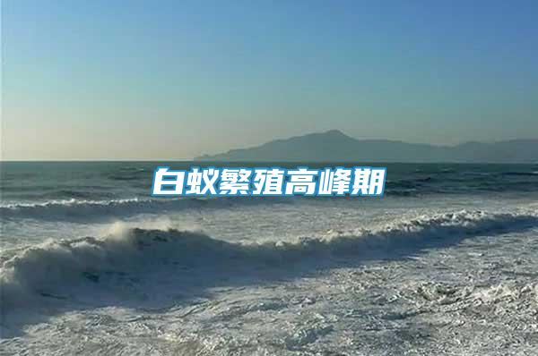 白蟻繁殖高峰期