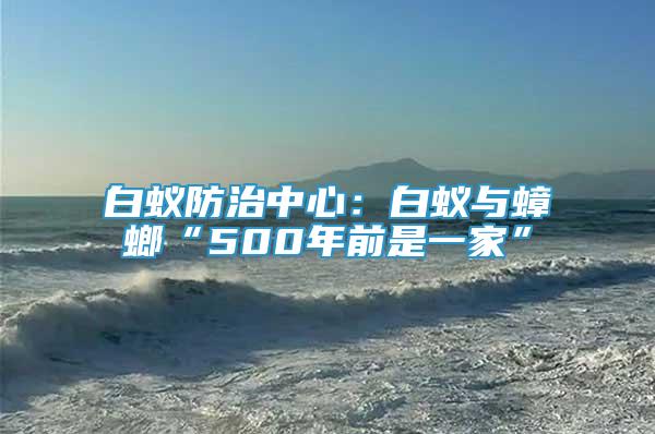 白蟻防治中心：白蟻與蟑螂“500年前是一家”
