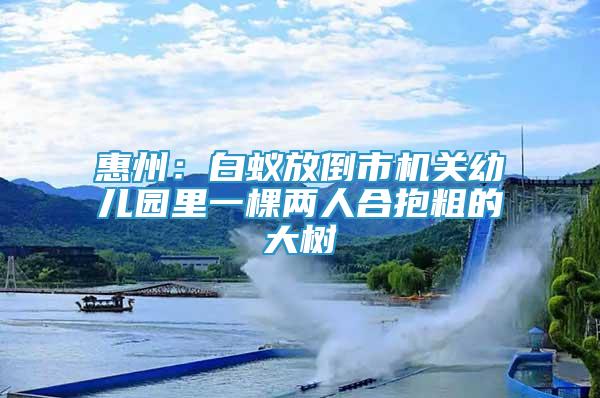 惠州：白蟻放倒市機關(guān)幼兒園里一棵兩人合抱粗的大樹