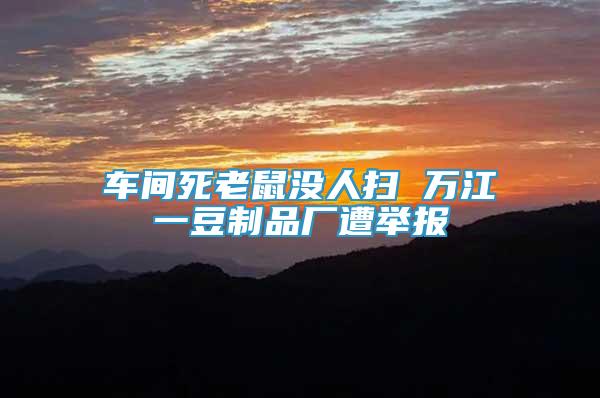車間死老鼠沒人掃 萬江一豆制品廠遭舉報(bào)