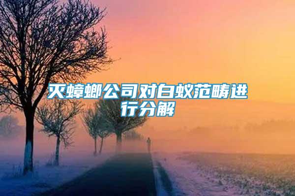滅蟑螂公司對(duì)白蟻范疇進(jìn)行分解