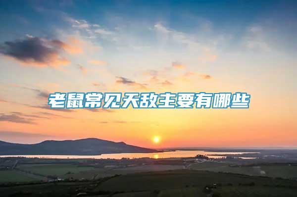 老鼠常見天敵主要有哪些