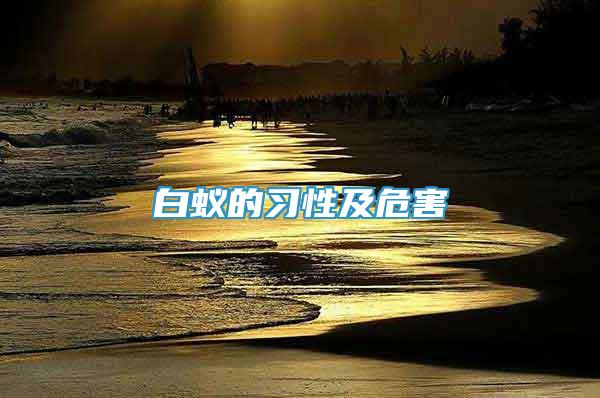 白蟻的習(xí)性及危害