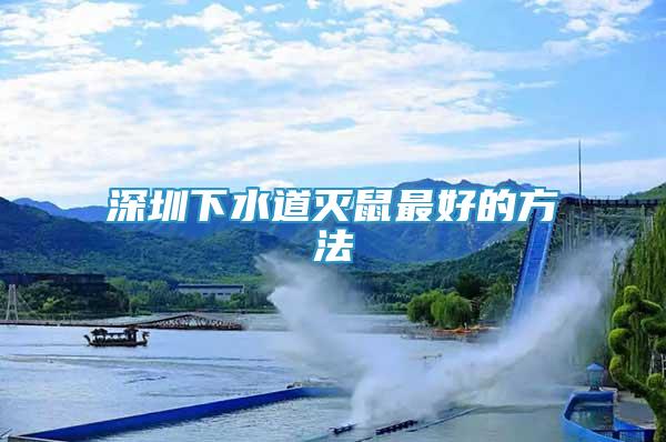 深圳下水道滅鼠最好的方法