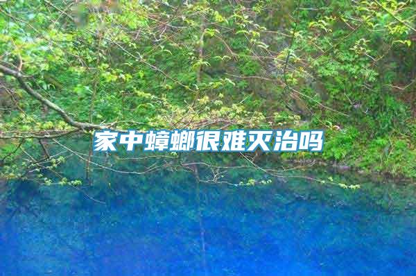 家中蟑螂很難滅治嗎