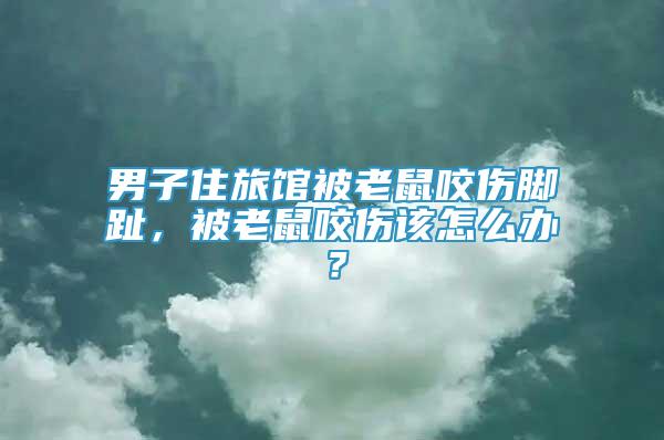 男子住旅館被老鼠咬傷腳趾，被老鼠咬傷該怎么辦？