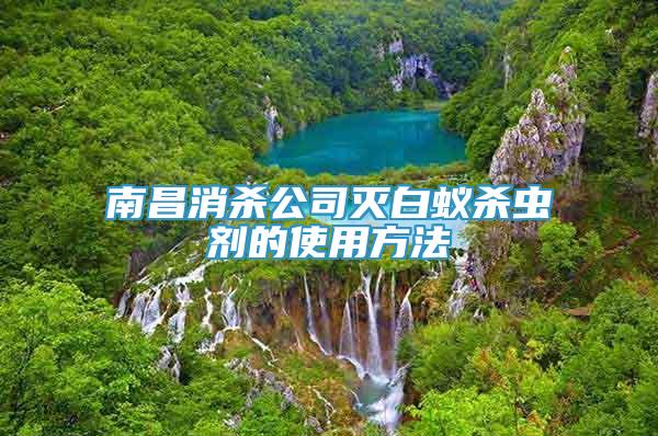 南昌消殺公司滅白蟻殺蟲劑的使用方法
