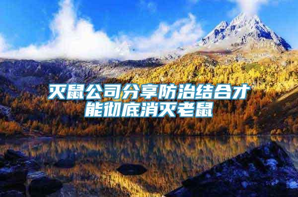 滅鼠公司分享防治結(jié)合才能徹底消滅老鼠