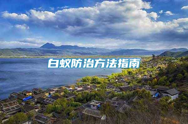 白蟻防治方法指南