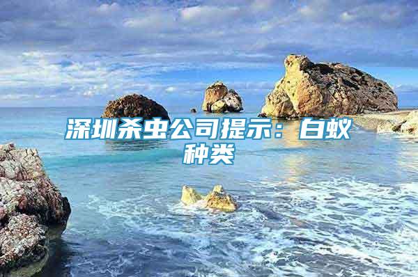 深圳殺蟲公司提示：白蟻種類